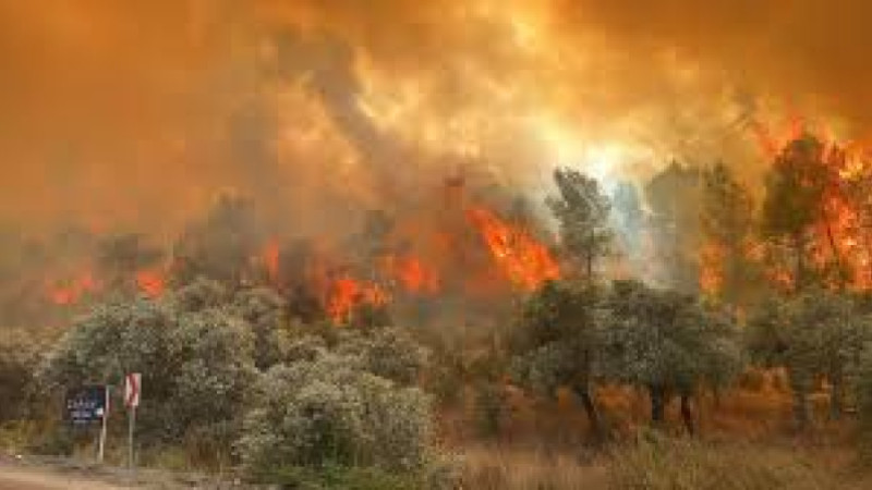Çanakkale Valiliği'nden Orman Yangınlarına Karşı Uyarı