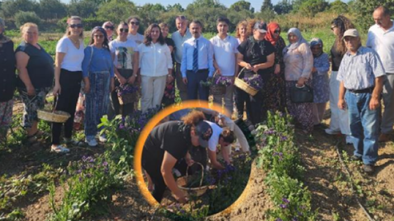 İhracata Yönelik Süs Bitkileri Üretim Potansiyelinin Arttırılması Projesi