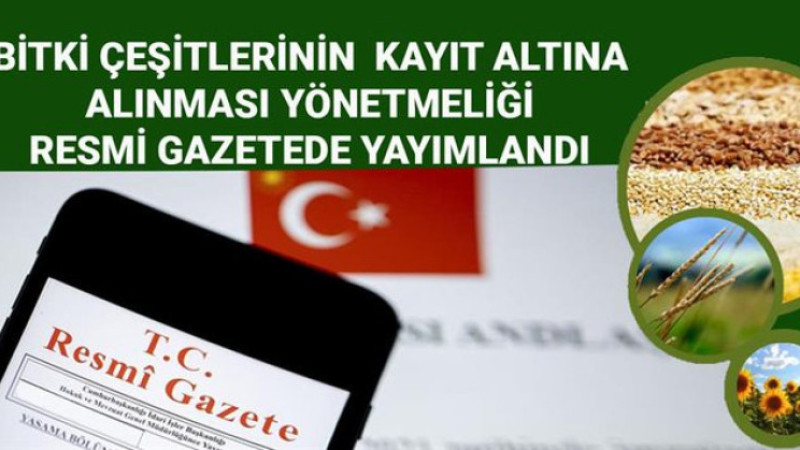 BİTKİ ÇEŞİTLERİNİN KAYIT ALTINA ALINMASI YÖNETMELİĞİ