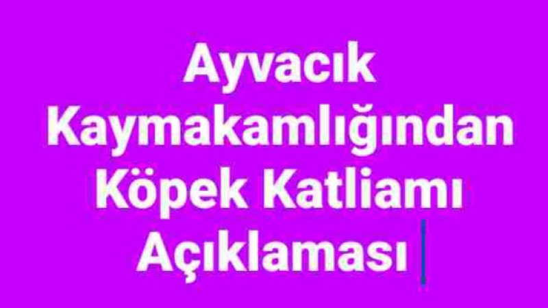 Ayvacık Kaymakamlığından Köpek Katliamı Açıklaması 