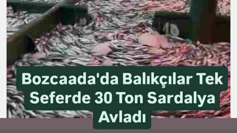 Bozcaada'da Balıkçılar Tek Seferde 30 Ton Sardalya Avladı