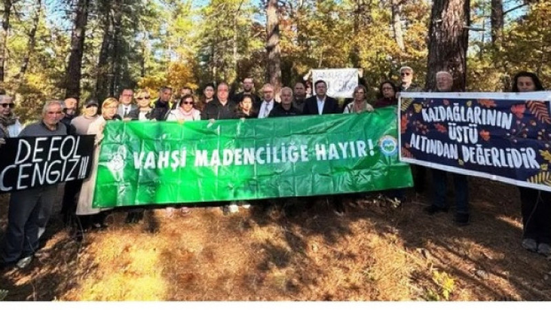 Kazdağları hukuktan haber bekliyor: 'Yürütmeyi durdurun'