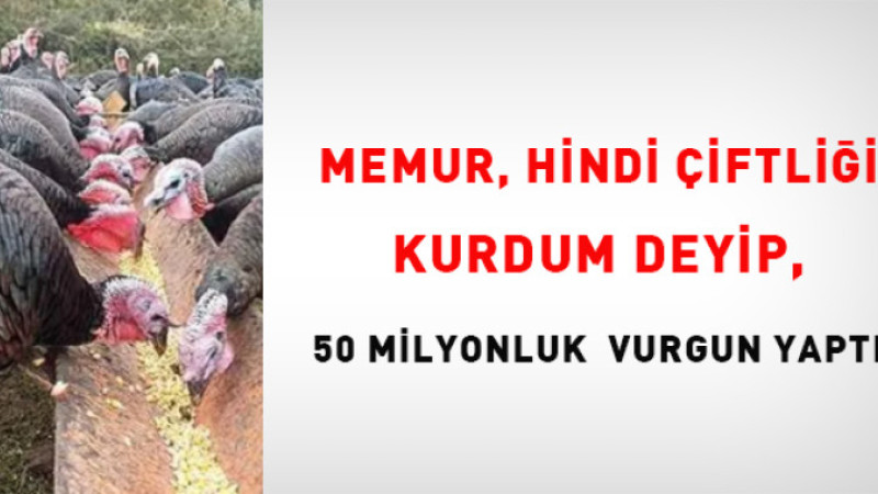 Hindi Çiftliği kurdum deyip, 50 milyonluk vurgun yaptı Çanakkale'ye kaçtı