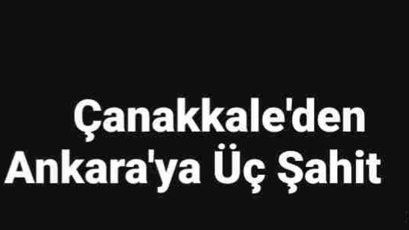 Çanakkale'den Ankara'ya Üç Şahit