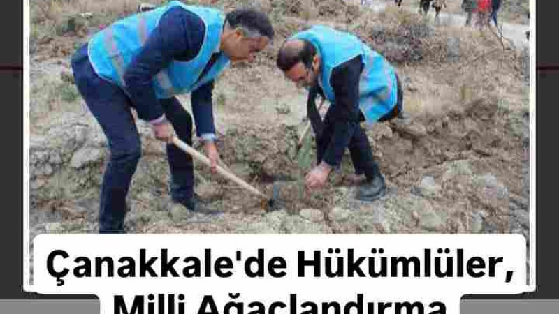 Çanakkale'de Hükümlüler, Milli Ağaçlandırma Günü'nde fidan dikti