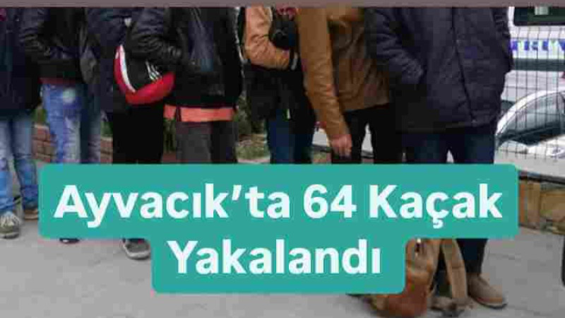 Ayvacık’ta 64 Kaçak Yakalandı 