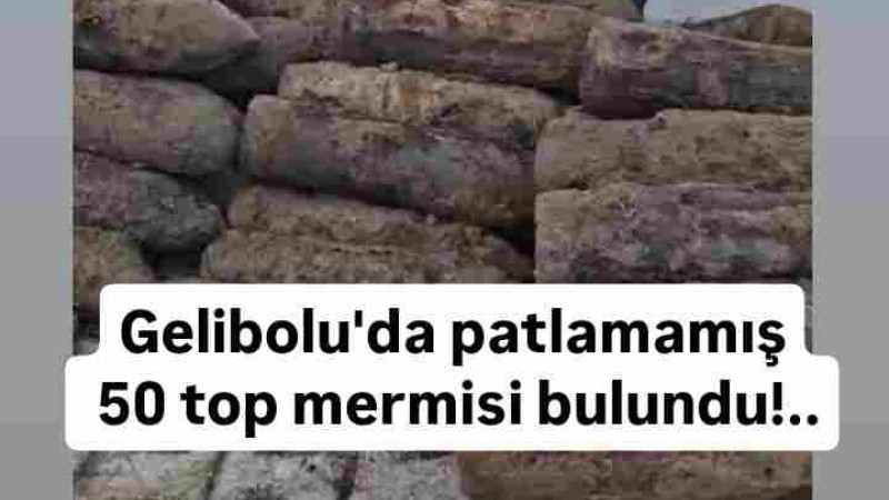 Gelibolu’da Patlamamış Top Mermileri