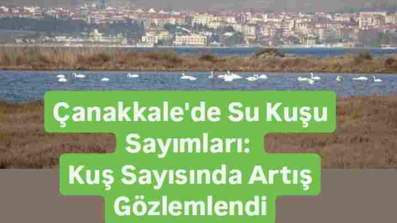 Çanakkale'de Su Kuşu Sayımı