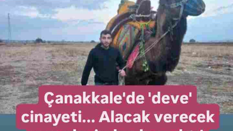 Ezine'de Alacak Meselesi