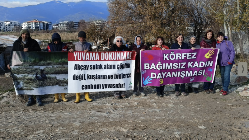 OSB dolgusu ve çevre tahribatı