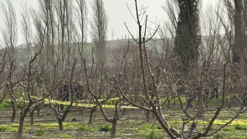 Lapsekide kayıp olarak  olan 86 yaşındaki kişinin cesedi bulundu 