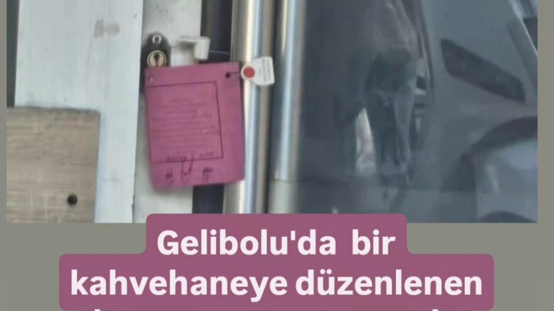 Gelibolu'da Kumar Operasyonu