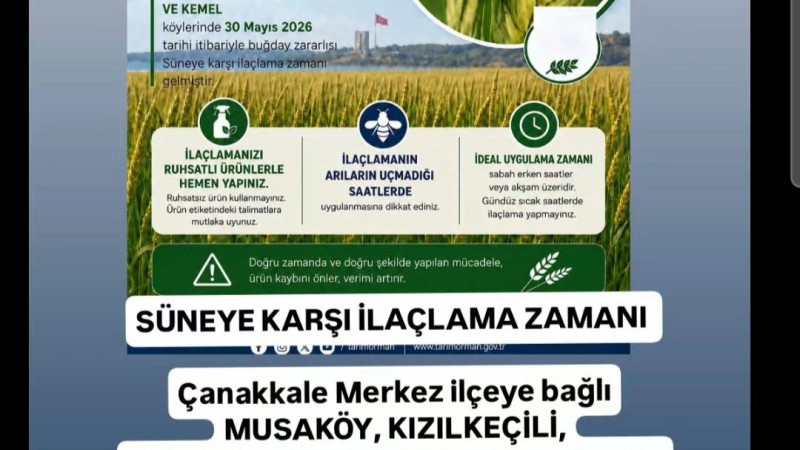 SÜNEYE KARŞI İLAÇLAMA ZAMANI 