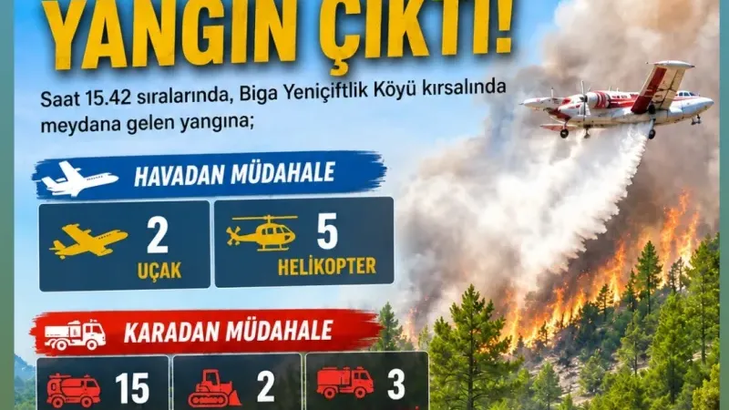 Biga Yeniçiftlik Köyü Kırsalında Yangın: 