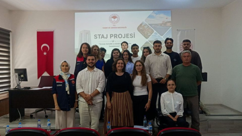 Çilek bahçelerinden çeltik tarlalarına saha deneyimi