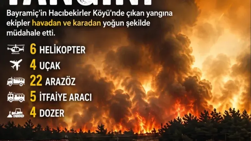 Bayramiç'te Orman yangını 