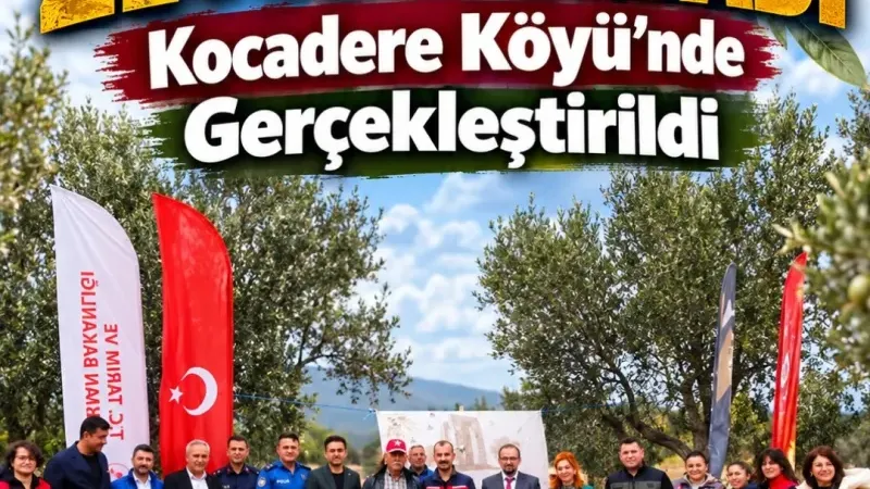 Eceabat’ta Zeytin Hasadı Kocadere Köyü’nde Gerçekleştirildi